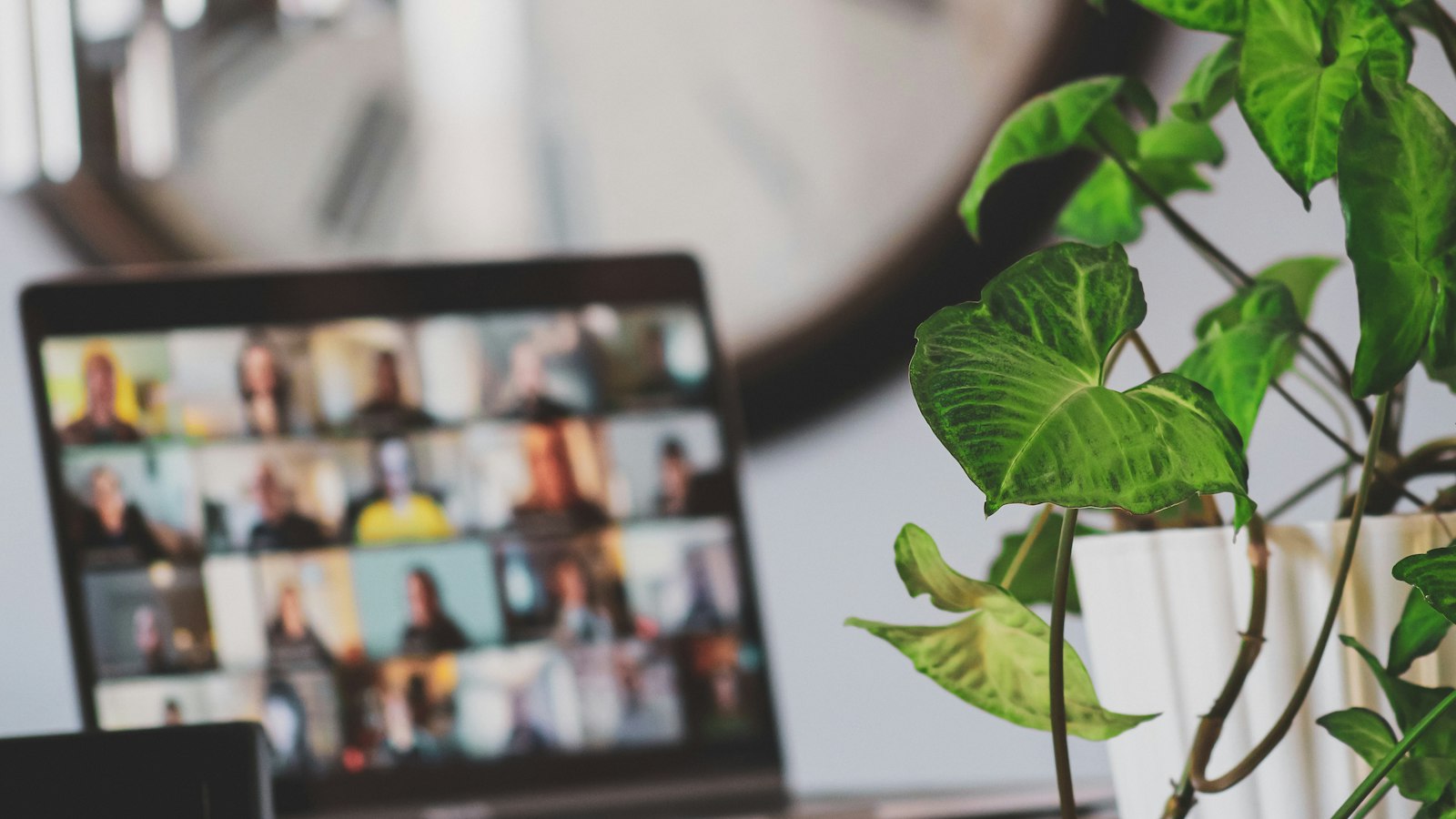 Laptop showing a team video call beside a houseplant, the daily check-in with an offshore Shopify developer.